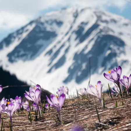 ホテル Rzemieslnik 3*