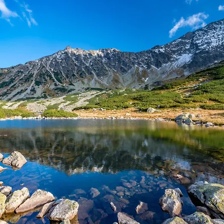 Отель Rzemieslnik 3*