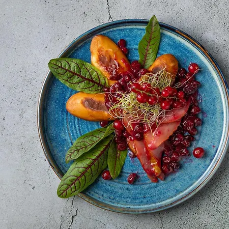 Rzemieslnik 3* 扎科帕内