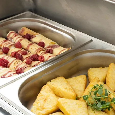 Rzemieslnik 酒店 3*