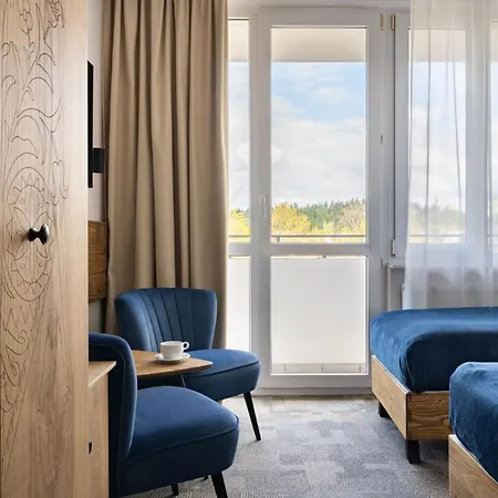 Отель Rzemieslnik 3*