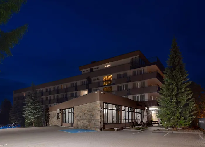 Rzemieslnik Hotel 3*